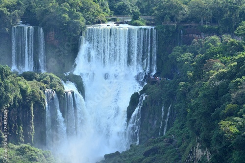 IGUAZU  naturaleza  cascadas  indectos aves 