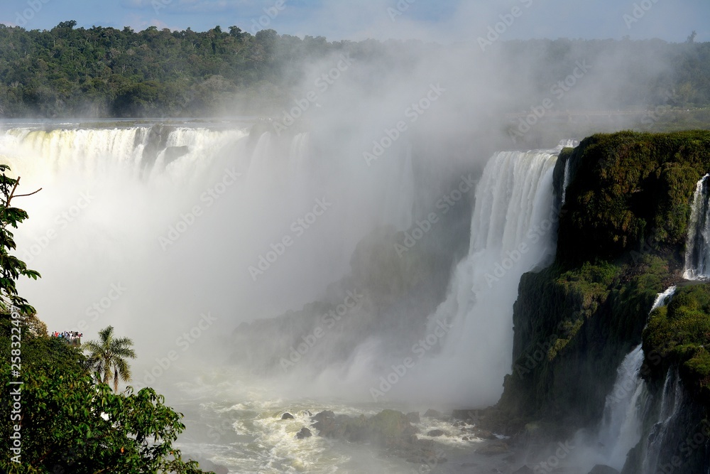 IGUAZU (naturaleza, cascadas, indectos aves)