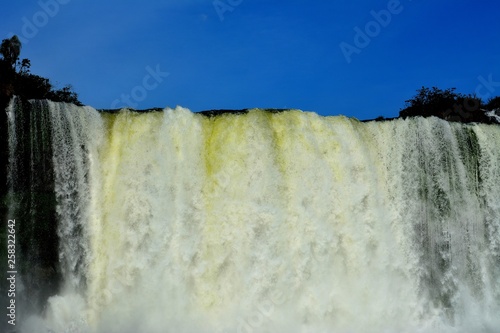 Fotografie IGUAZU (naturaleza, cascadas, indectos aves)