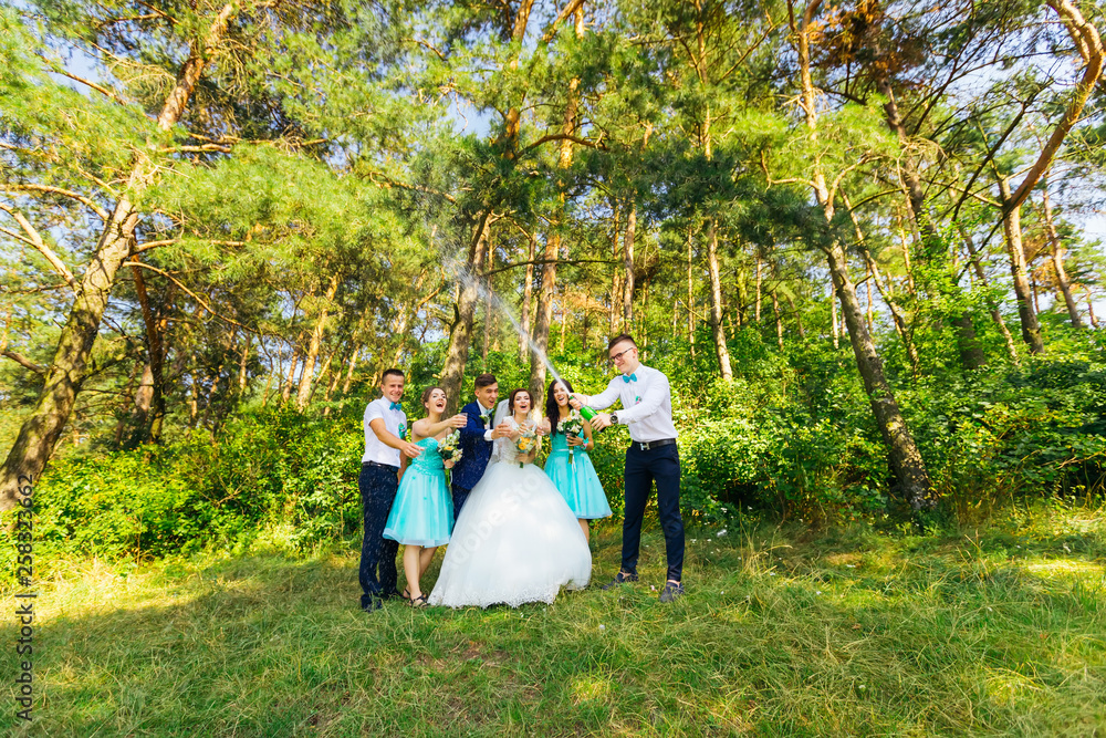 Bride and groom with happy groomsmen and bridesmaids having fun Bride and groom with happy groomsmen and bridesmaids having fun