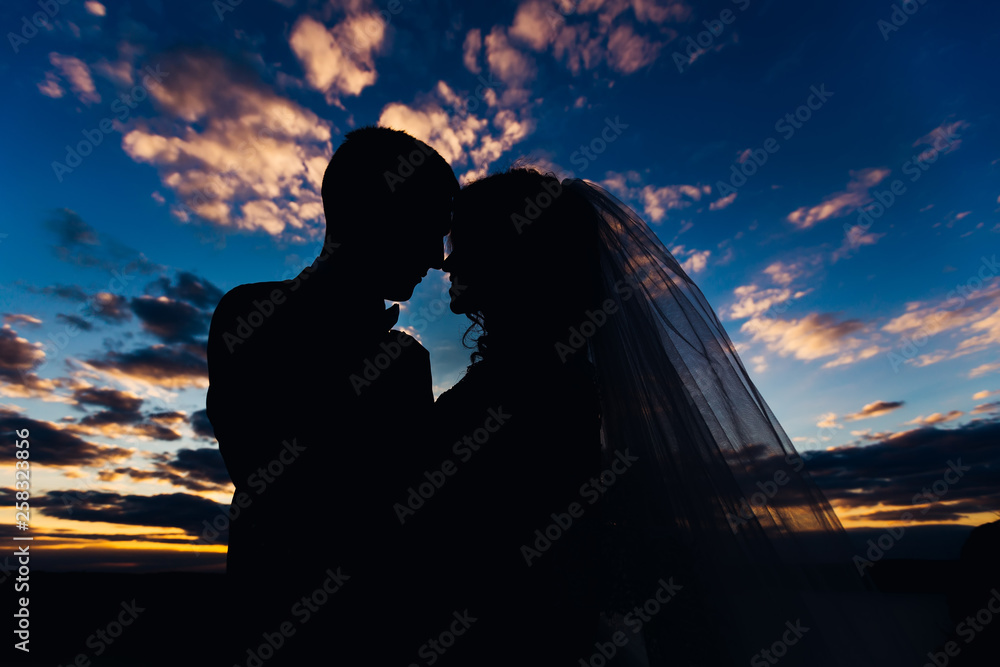 the silhouette of the newlyweds lean their heads. twilight. suns