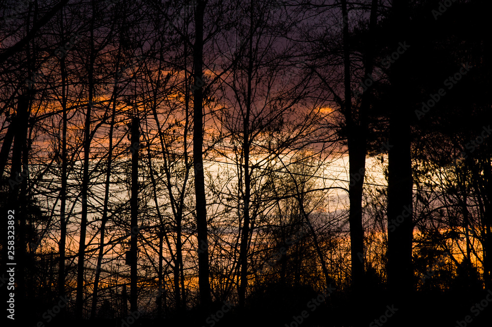 sunset in the village sunset in the village