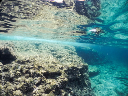 Underwater image in Formentera Balearics Spain