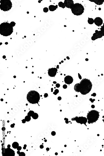 Black and White Ink Splatters and Spill 