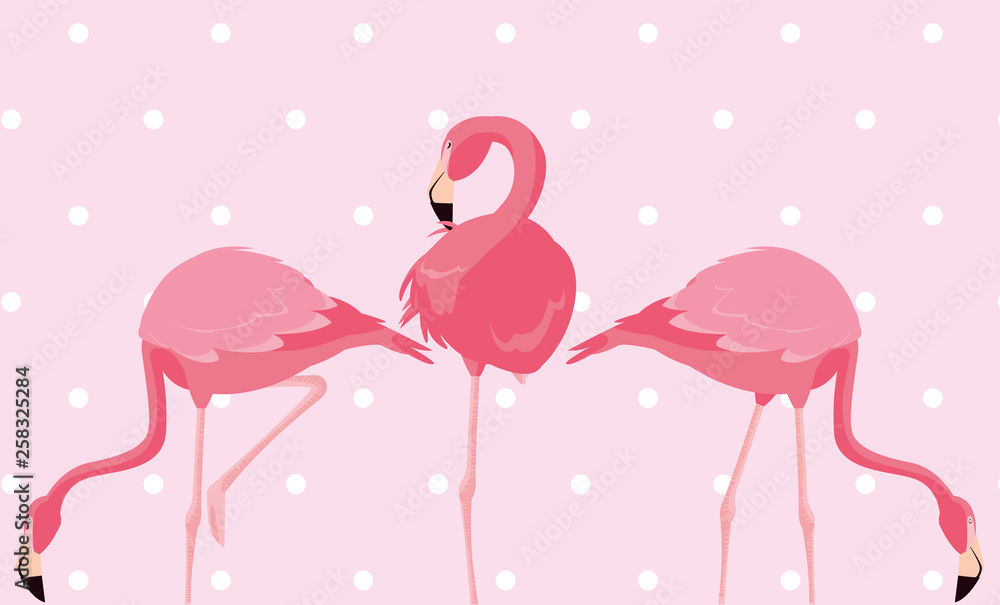 Fototapeta premium flock of elegant flamingos birds dotted background