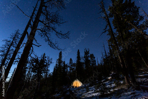 Acampada en un bosque de Montana, USA photo