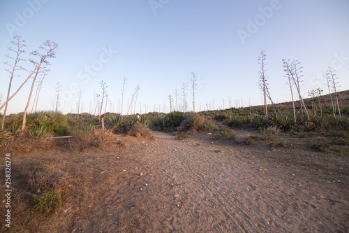 Nature landscape Genoveses beach in Cabo de Gata nature reserve Almeria Andalusia Spain © ANADEL