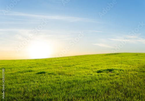 summer green rural field at the sunaet