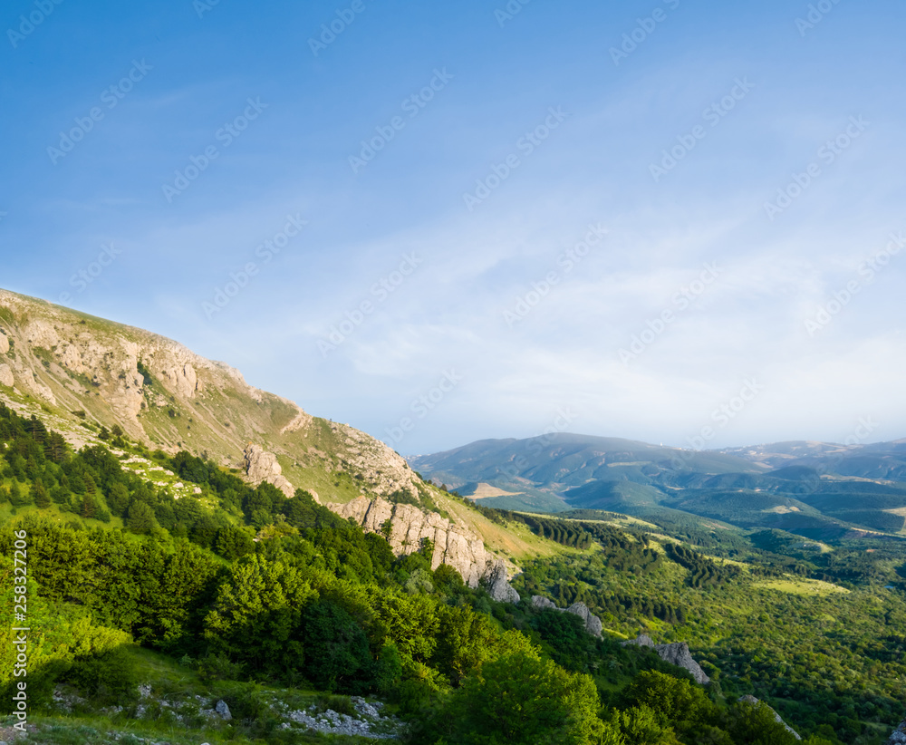 mount slope above a green forest, natural landscape