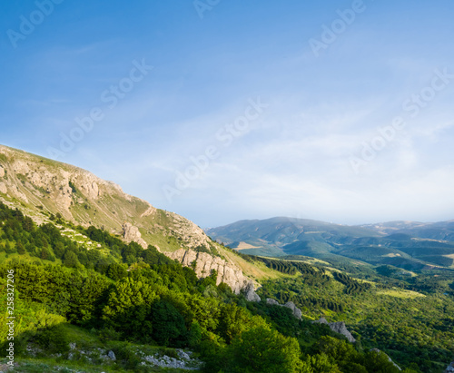 mount slope above a green forest, natural landscape