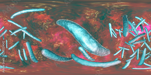 360-degree spherical panorama of bacteria Mycobacterium tuberculosis, and other mycobacteria, 3D illustration photo