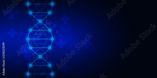 DNA strand background and genetic engineering or laboratory research. Medical technology and science concept. © berCheck