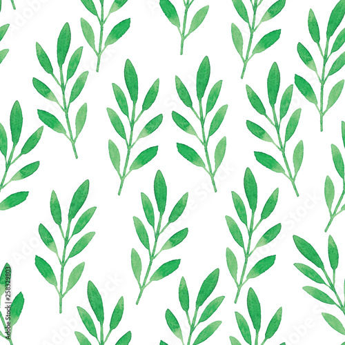 Fototapeta Naklejka Na Ścianę i Meble -  green watercolor leaves pattern with white background