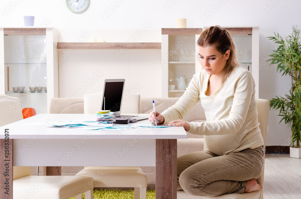 Young pregnant woman in budget planning concept Young pregnant woman in budget planning concept