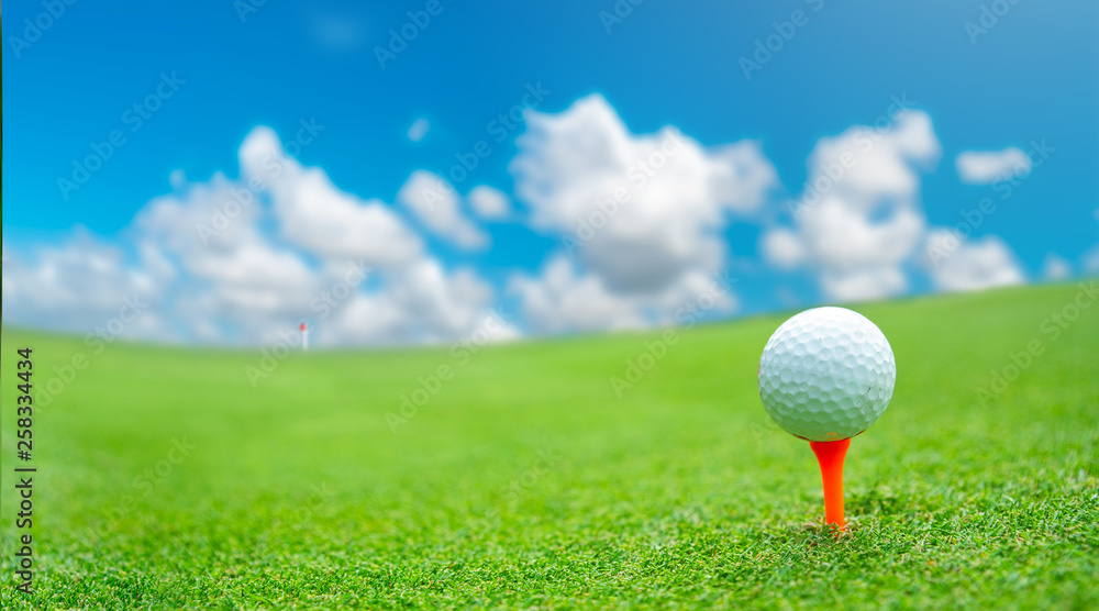 Close up golf ball on green grass field Close up golf ball on green grass field