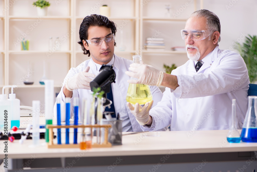 Two chemists working in the lab Two chemists working in the lab