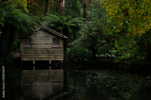 old house in the forest © Grace