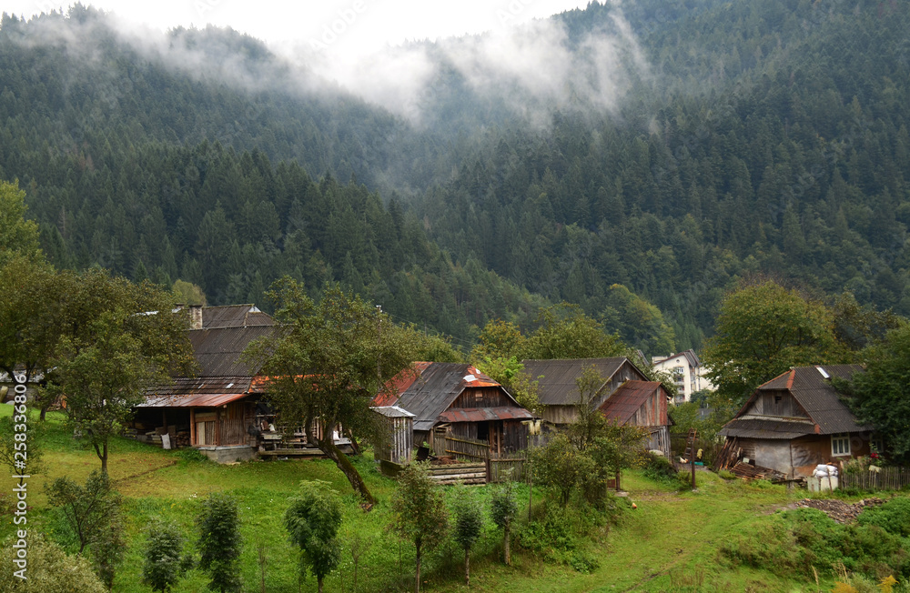Morning fog in the mountains of the Carpathians Morning fog in the mountains of the Carpathians