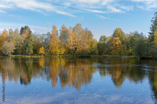 reflection of trees in lake © oleg