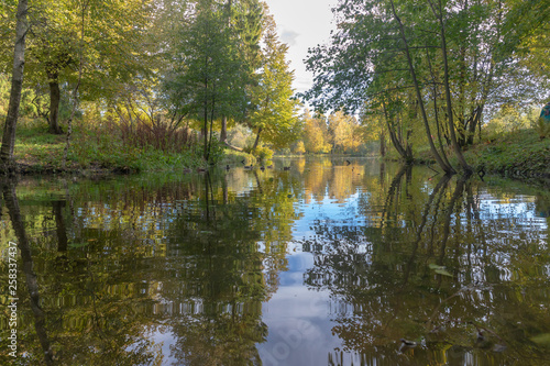 lake in forest