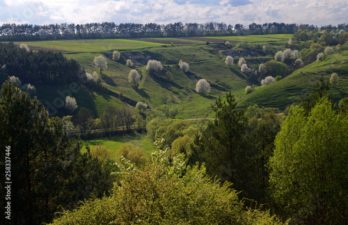 The huge river Dniester flows between high steep hills covered with spring lush green grass against the blue sky
