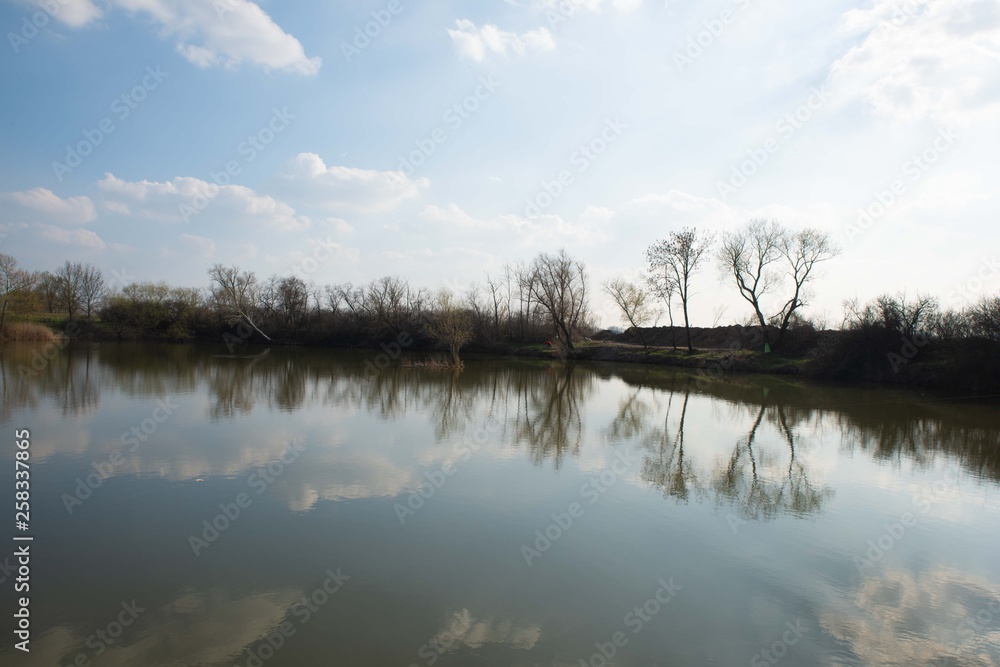 Fototapeta premium Nature