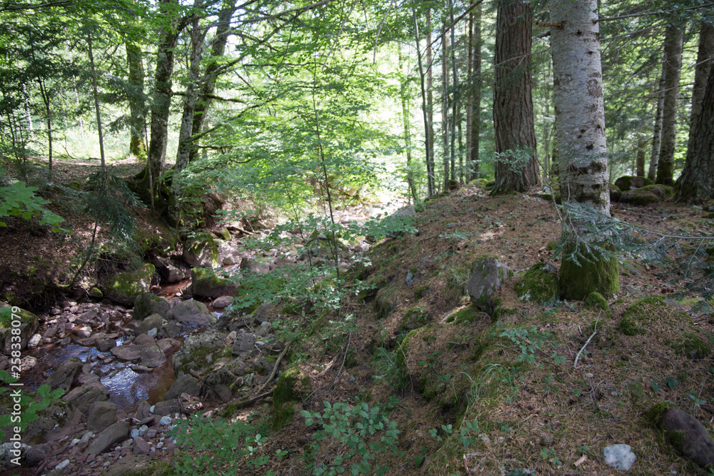 Mountain landscape Selva de Oza Haragon Spain Mountain landscape Selva de Oza Haragon Spain