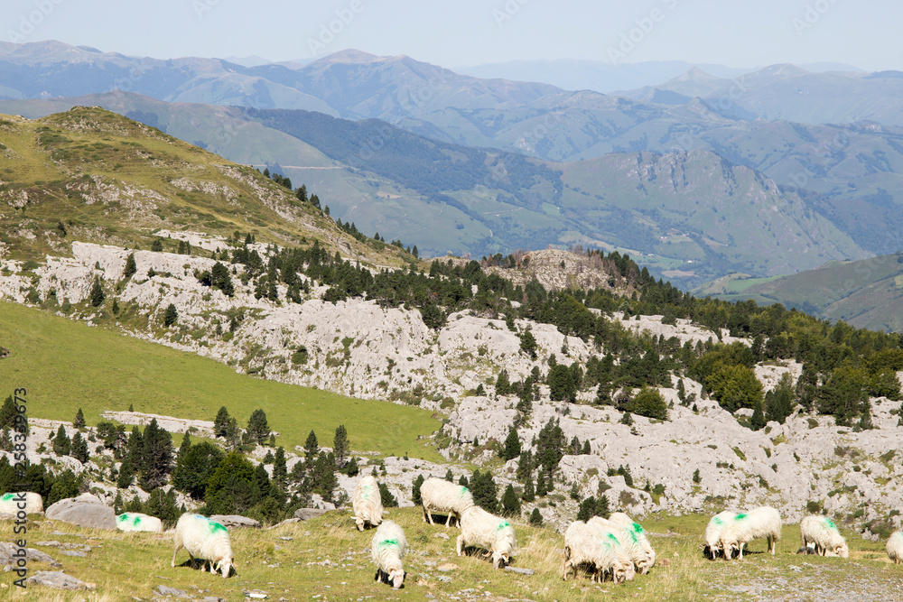 Valle de Roncal landscape in Navarre Spain