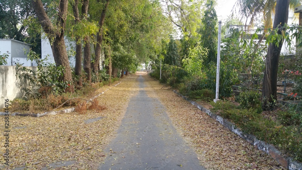 ree, nature, highway, ree, nature, highway,