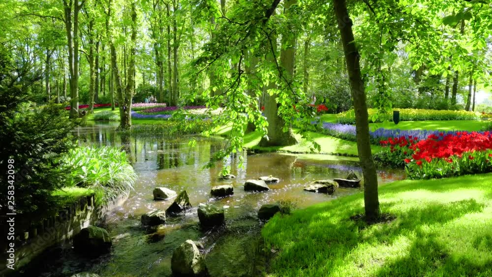 spring pond in park