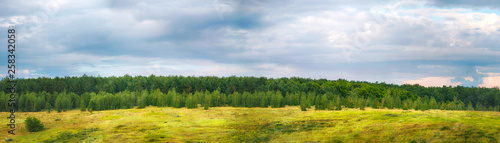 Panorama. Beautiful summer countryside landscape.