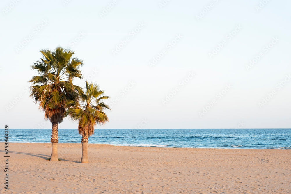 a calm beach in the mediterranean sea.
