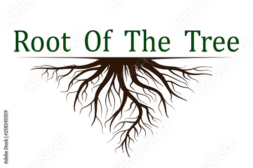  tree with roots . Vector  icon isolated on white background.