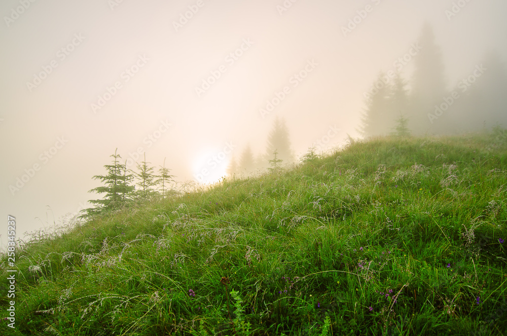 Foggy morning landscape Foggy morning landscape