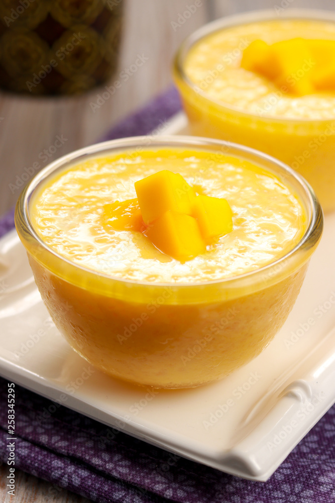 Very delicious Mango Tapioca on the white plate. Very delicious Mango Tapioca on the white plate.