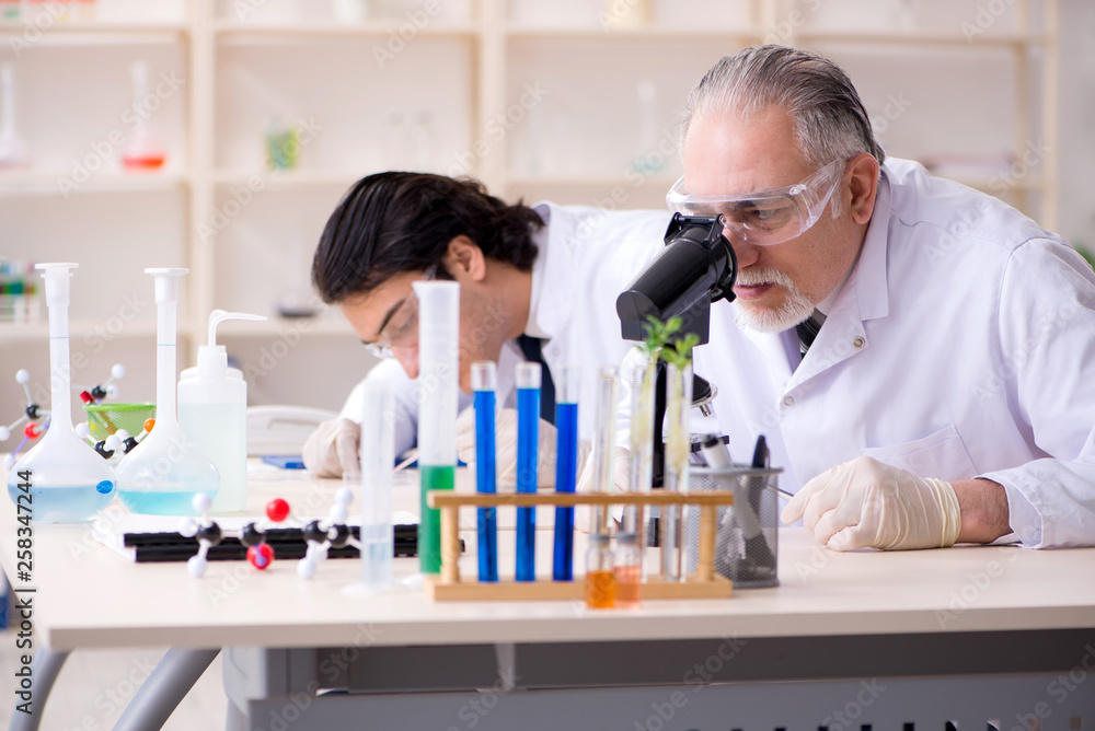 Two chemists working in the lab Two chemists working in the lab