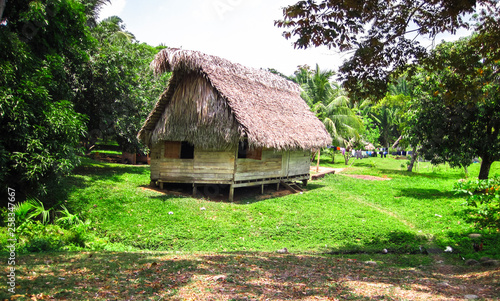 An indigenous house made with wood and a thatched roof in southern Belize.