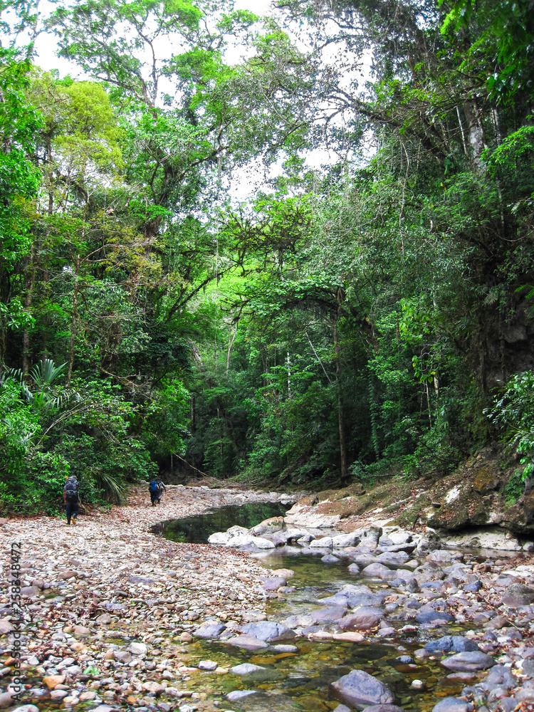 A group of hikers explores the lush jungle in central Belize. A group of hikers explores the lush jungle in central Belize.