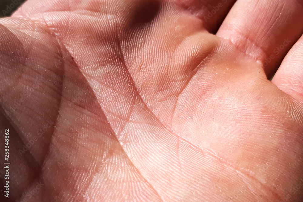 The inner part of the human hand. Close-up human skin on the palm The inner part of the human hand. Close-up human skin on the palm