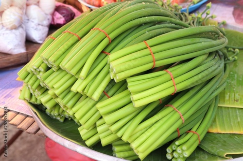 Spring onion flower at market
