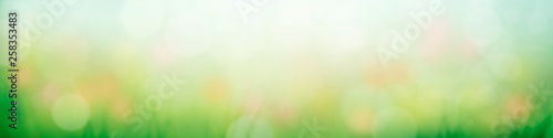 Abstract background with green grass, flowers and sun rays