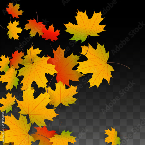 September Vector Background with Golden Falling Leaves. Autumn Illustration with Maple Red, Orange, Yellow Foliage. Isolated Leaf on Transparent Background. Bright Swirl. Suitable for Posters.