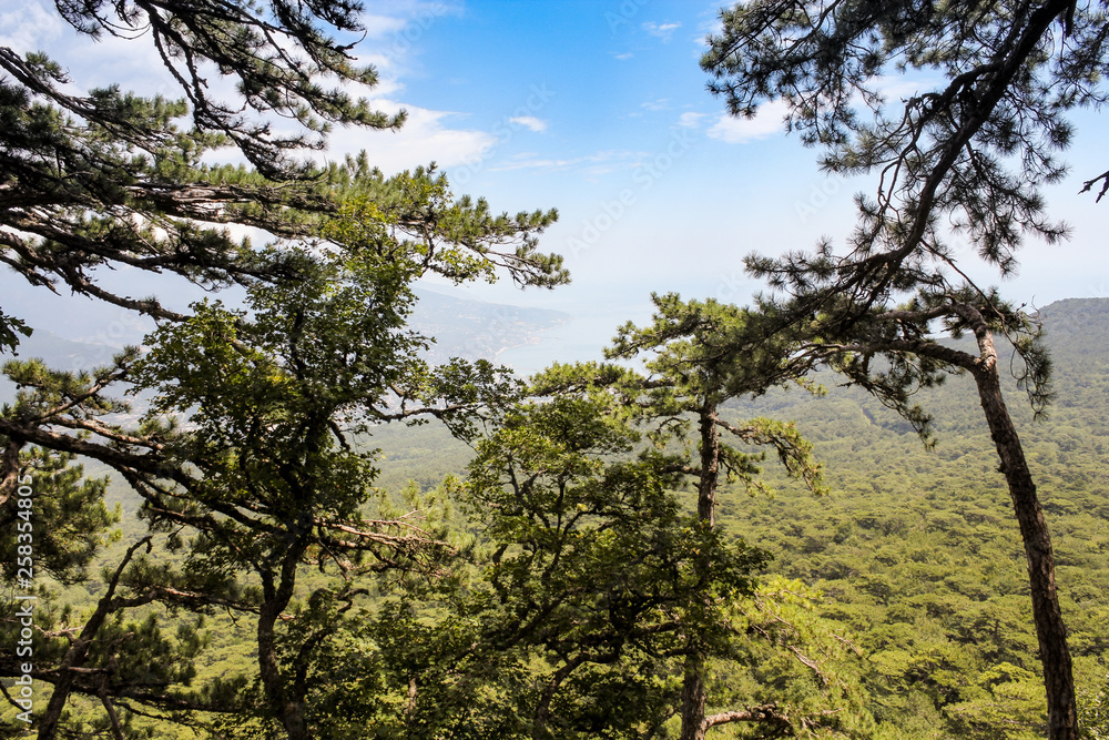 Blue sky in the mountains.