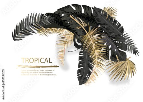 Vector arrangement with black and gold tropical leaves on dark background. Luxury exotic botanical design for cosmetics, spa, perfume, aroma, beauty salon.