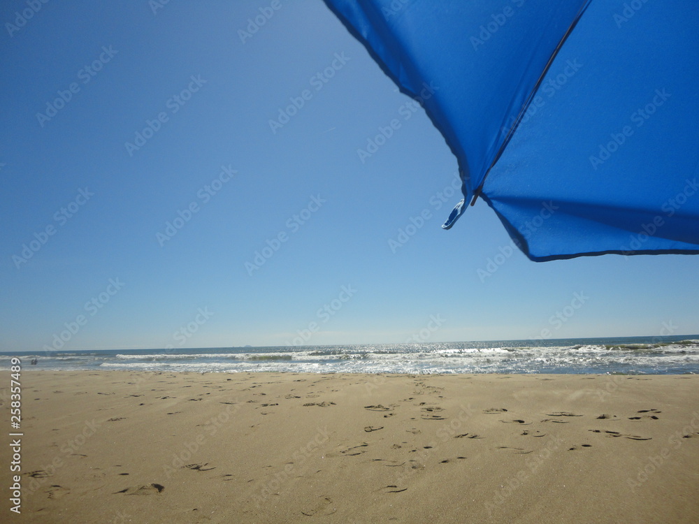 Blue beach umbrella on the beach