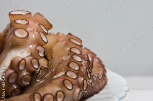 Boiled octopus in a dish. Fish seafood cuisine. Close up view. Selective focus.
