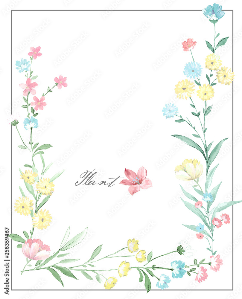 Colorful flower on white background,It's perfect for greeting cards,wedding invitation