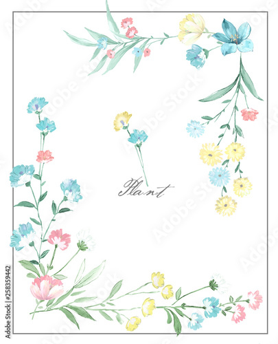 Colorful flower on white background,It's perfect for greeting cards,wedding invitation