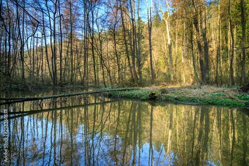 Robecsky potok river in Peklo valley