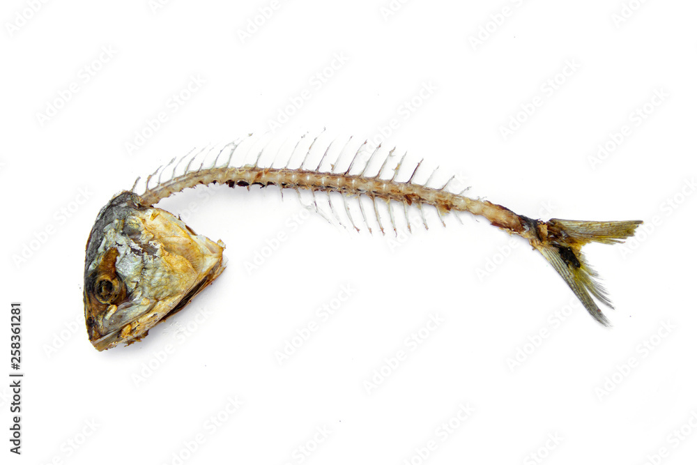 fishbone from fried mackerel rest from eating. isolated on white background.